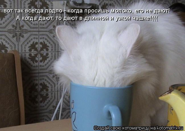 вот так всегда подло - когда просишь молоко, его не дают! А когда дают, то дают в длинной и узкой чаш... Котоматрица: вот так всегда подло - когда просишь молоко, его не дают! А когда дают, то дают в длинной и узкой чашке!(((