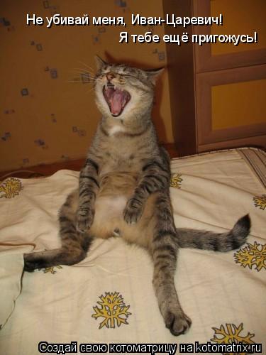 Котоматрица: Не убивай меня, Иван-Царевич!  Я тебе ещё пригожусь!