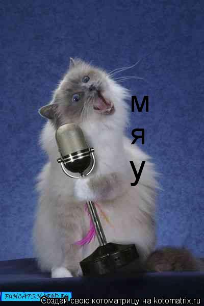 м я у... Котоматрица: м я у