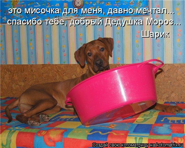 Котоматрица: это мисочка для меня, давно мечтал... спасибо тебе, добрый Дедушка Мороз... Шарик