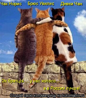 Чак Норис Брюс Увилис Джеки Чан Эх братцЫ.... у нас холосо... а в России лучше!... Котоматрица: Чак Норис Брюс Увилис Джеки Чан Эх братцЫ.... у нас холосо... а в России лучше!
