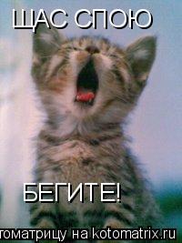 Котоматрица: ЩАС СПОЮ БЕГИТЕ!