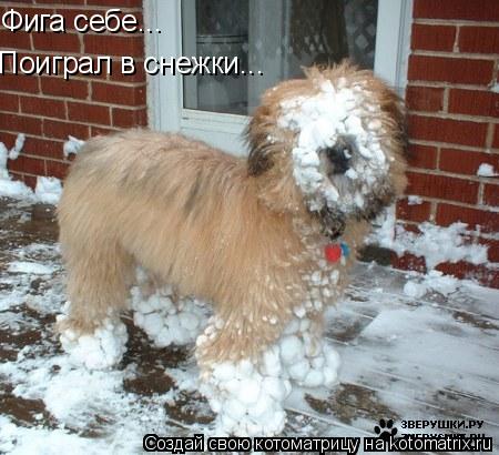 Фига себе... Поиграл в снежки...... Котоматрица: Фига себе... Поиграл в снежки...