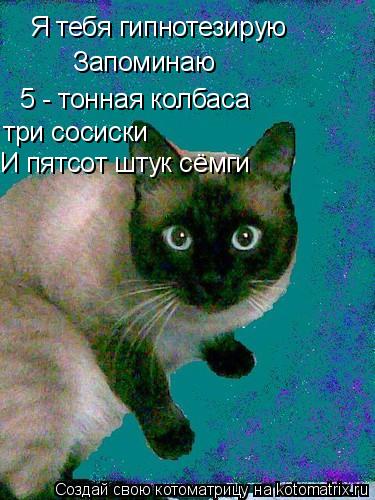 Я тебя гипнотезирую Запоминаю 5 - тонная колбаса три сосиски И пятсот штук сёмги... Котоматрица: Я тебя гипнотезирую Запоминаю 5 - тонная колбаса три сосиски И пятсот штук сёмги