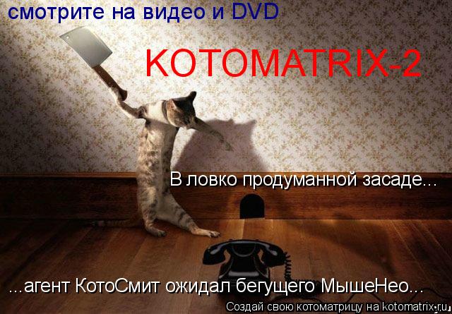 ...агент КотоСмит ожидал бегущего МышеНео... В ловко продуманной засаде... KOTOMATRIX-2 смотрите на в... Котоматрица: ...агент КотоСмит ожидал бегущего МышеНео... В ловко продуманной засаде... KOTOMATRIX-2 смотрите на видео и DVD