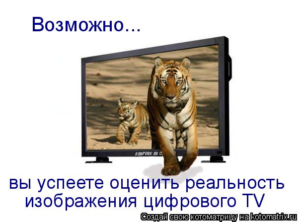 Возможно... вы успеете оценить реальность изображения цифрового TV... Котоматрица: Возможно... вы успеете оценить реальность изображения цифрового TV