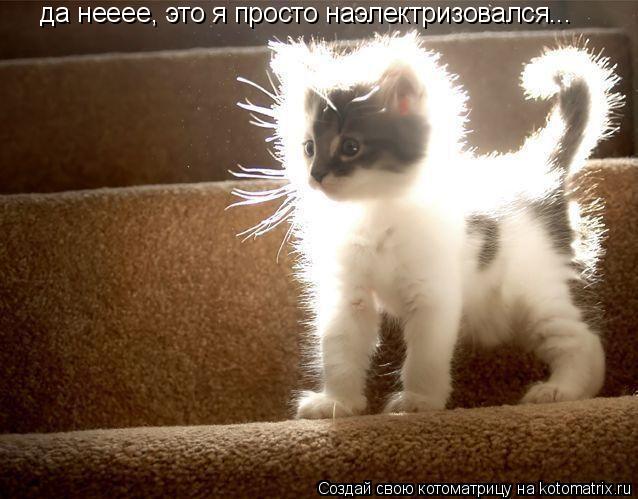 Котоматрица: да нееее, это я просто наэлектризовался...