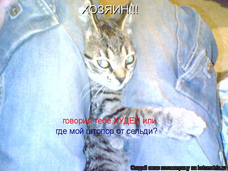 ХОЗЯИН!!! говорил тебе,ХУДЕЙ или где мой штопор от сельди?... Котоматрица: ХОЗЯИН!!! говорил тебе,ХУДЕЙ или где мой штопор от сельди?