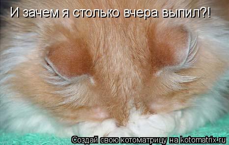 И зачем я столько вчера выпил?!... Котоматрица: И зачем я столько вчера выпил?!
