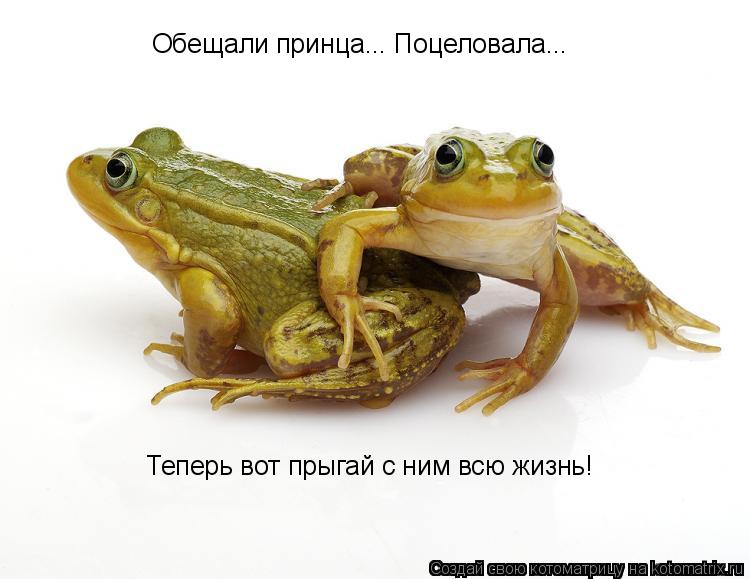 Обещали принца... Поцеловала... Теперь вот прыгай с ним всю жизнь!... Котоматрица: Обещали принца... Поцеловала... Теперь вот прыгай с ним всю жизнь!