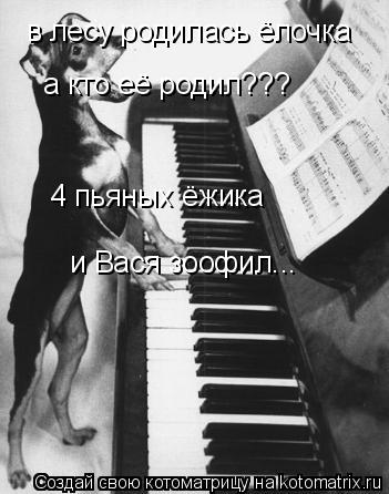 в лесу родилась ёлочка а кто её родил??? 4 пьяных ёжика и Вася зоофил...... Котоматрица: в лесу родилась ёлочка а кто её родил??? 4 пьяных ёжика и Вася зоофил...