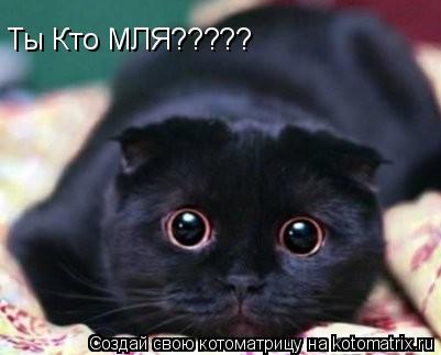 Ты Кто МЛЯ?????... Котоматрица: Ты Кто МЛЯ?????
