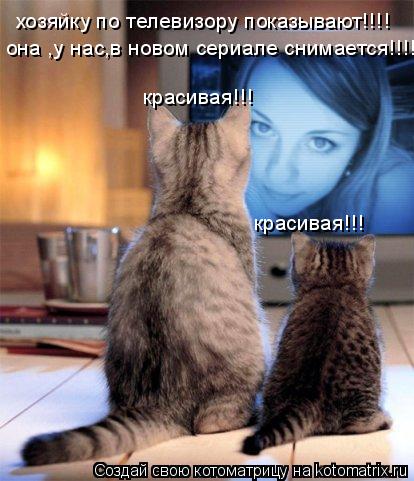 Котоматрица: хозяйку по телевизору показывают!!!! она ,у нас,в новом сериале снимается!!!! красивая!!! красивая!!!