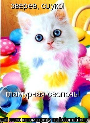 зверев, сцуко! гламурная сволочь!... Котоматрица: зверев, сцуко! гламурная сволочь!