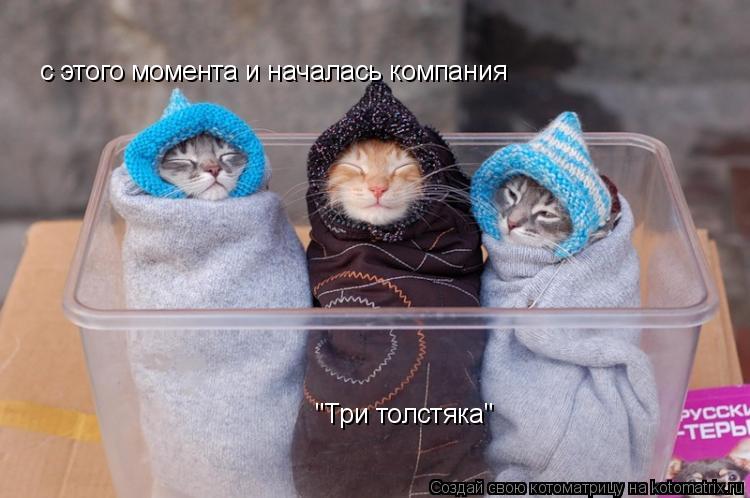 с этого момента и началась компания "Три толстяка"... Котоматрица: с этого момента и началась компания "Три толстяка"