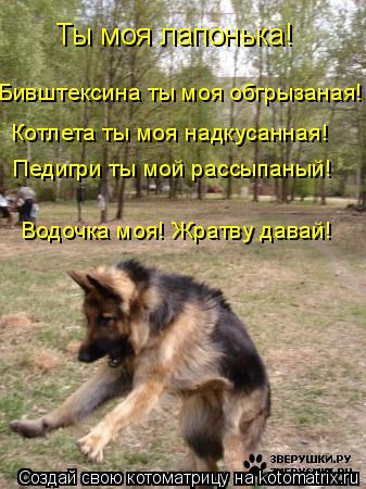 Ты моя лапонька! Бивштексина ты моя обгрызаная! Котлета ты моя надкусанная! Педигри ты мой рассыпаный... Котоматрица: Ты моя лапонька! Бивштексина ты моя обгрызаная! Котлета ты моя надкусанная! Педигри ты мой рассыпаный! Водочка моя! Жратву давай!