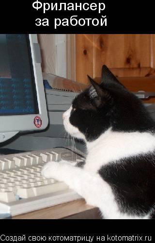Фрилансер за работой... Котоматрица: Фрилансер за работой