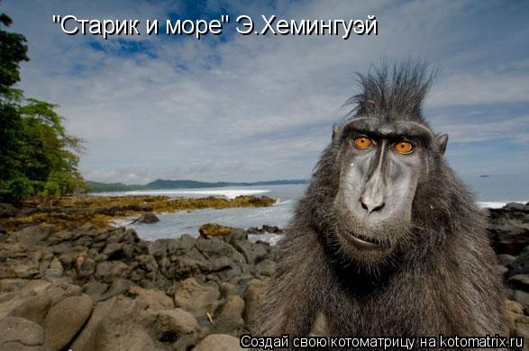 "Старик и море" Э.Хемингуэй... Котоматрица: "Старик и море" Э.Хемингуэй
