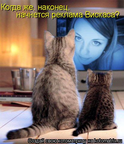 Когда же, наконец, начнется реклама Вискаса?... Котоматрица: Когда же, наконец, начнется реклама Вискаса?