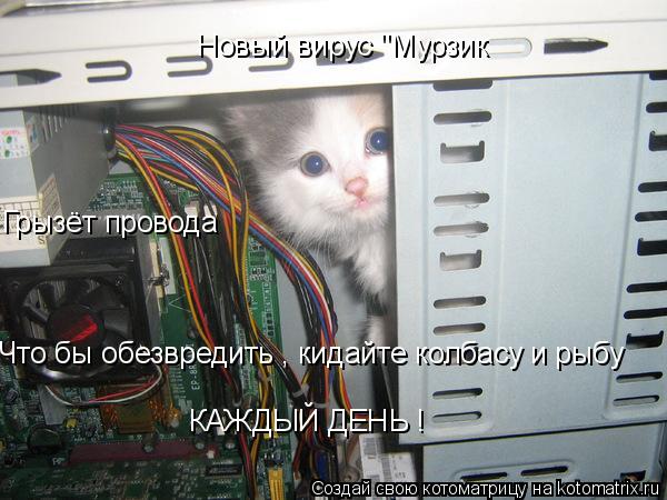 Новый вирус "Мурзик Грызёт провода Что бы обезвредить , кидайте колбасу и рыбу КАЖДЫЙ ДЕНЬ !... Котоматрица: Новый вирус "Мурзик Грызёт провода Что бы обезвредить , кидайте колбасу и рыбу КАЖДЫЙ ДЕНЬ !