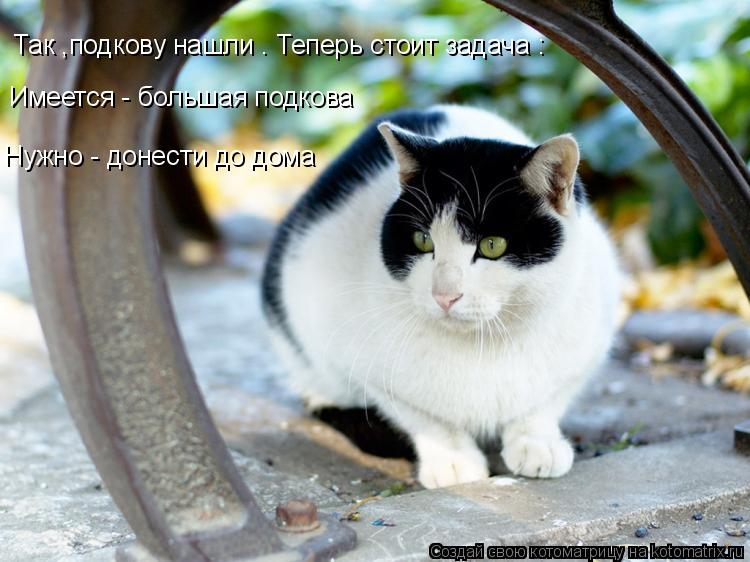 Так ,подкову нашли . Теперь стоит задача : Имеется - большая подкова Нужно - донести до дома... Котоматрица: Так ,подкову нашли . Теперь стоит задача : Имеется - большая подкова Нужно - донести до дома