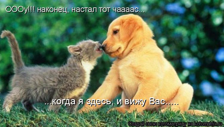 ОООу!!! наконец, настал тот чаааас... ...когда я здесь, и вижу Вас........ Котоматрица: ОООу!!! наконец, настал тот чаааас... ...когда я здесь, и вижу Вас.....