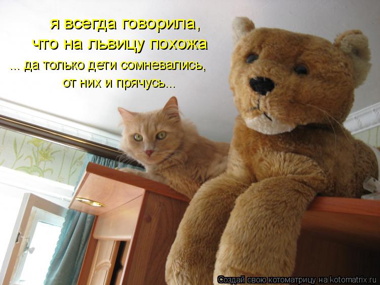 Котоматрица: я всегда говорила,  что на львицу похожа ... да только дети сомневались, от них и прячусь...
