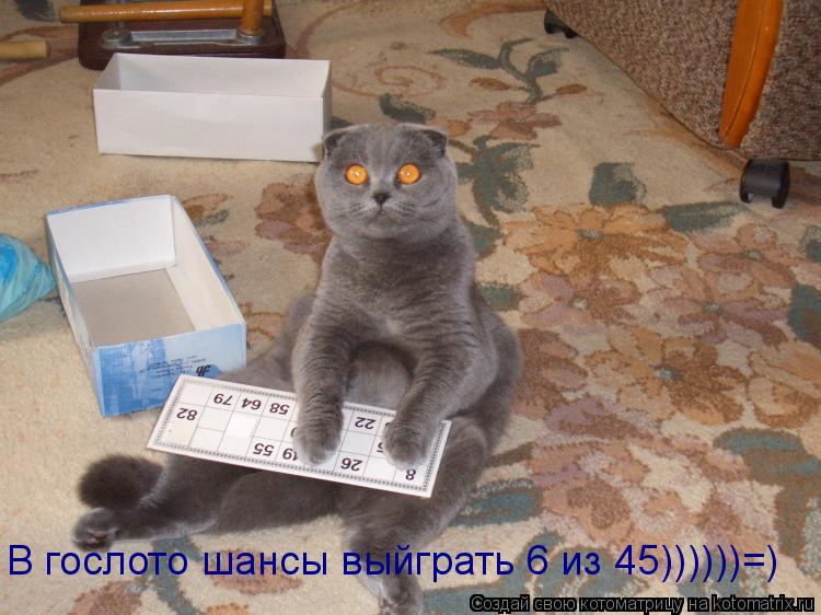 В гослото шансы выйграть 6 из 45))))))=)... Котоматрица: В гослото шансы выйграть 6 из 45))))))=)
