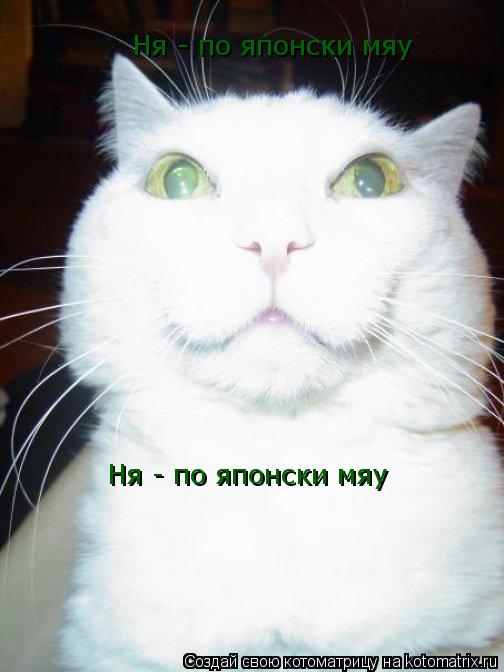 Котоматрица: Ня - по японски мяу Ня - по японски мяу