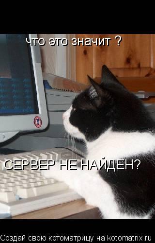 что это значит ? СЕРВЕР НЕ НАЙДЕН?... Котоматрица: что это значит ? СЕРВЕР НЕ НАЙДЕН?