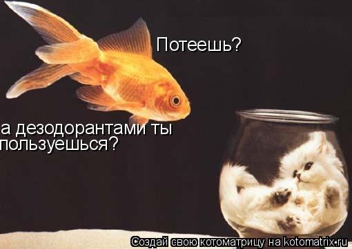 Потеешь? а дезодорантами ты пользуешься?... Котоматрица: Потеешь? а дезодорантами ты пользуешься?