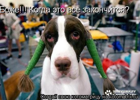 Боже!!! Когда это все закончится?... Котоматрица: Боже!!! Когда это все закончится?