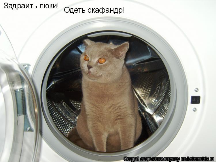 Котоматрица: Задраить люки! Одеть скафандр!