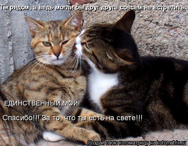 Ты рядом, а ведь могли бы друг друга совсем не встретить... Ты рядом, а ведь могли бы друг друга совс... Котоматрица: Ты рядом, а ведь могли бы друг друга совсем не встретить... Ты рядом, а ведь могли бы друг друга совсем не встретить... Ты рядом, а ведь могли бы
