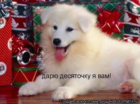 дарю десяточку я вам!... Котоматрица: дарю десяточку я вам!