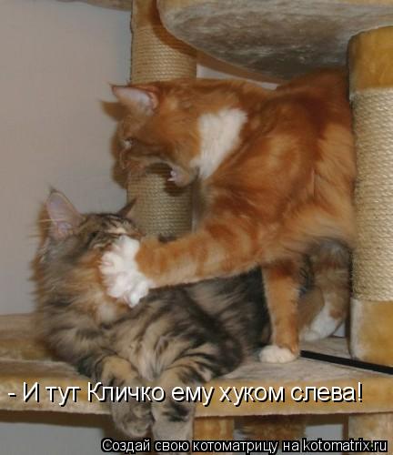 - И тут Кличко ему хуком слева!... Котоматрица: - И тут Кличко ему хуком слева!