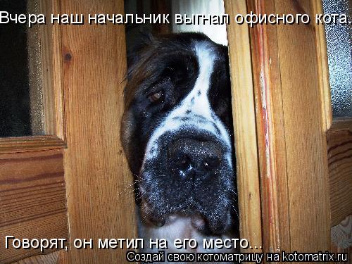 Вчера наш начальник выгнал офисного кота. Говорят, он метил на его место...... Котоматрица: Вчера наш начальник выгнал офисного кота. Говорят, он метил на его место...
