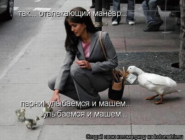 так... отвлекающий манёвр... парни! улыбаемся и машем... улыбаемся и машем...... Котоматрица: так... отвлекающий манёвр... парни! улыбаемся и машем... улыбаемся и машем...