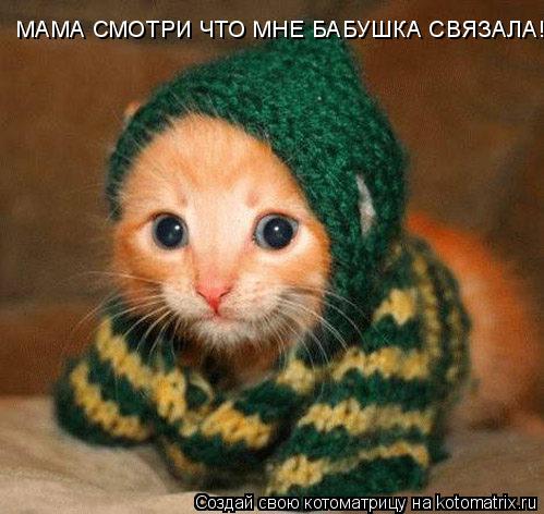 МАМА СМОТРИ ЧТО МНЕ БАБУШКА СВЯЗАЛА!... Котоматрица: МАМА СМОТРИ ЧТО МНЕ БАБУШКА СВЯЗАЛА!