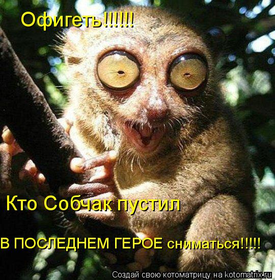 Офигеть!!!!!! Кто Собчак пустил В ПОСЛЕДНЕМ ГЕРОЕ сниматься!!!!!... Котоматрица: Офигеть!!!!!! Кто Собчак пустил В ПОСЛЕДНЕМ ГЕРОЕ сниматься!!!!!