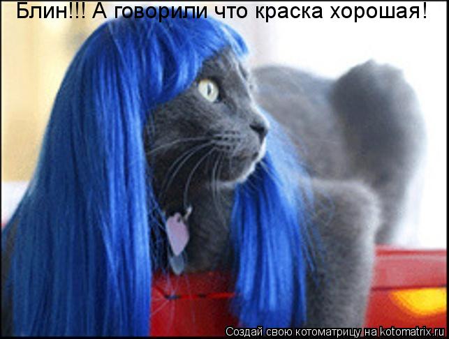 Котоматрица: Блин!!! А говорили что краска хорошая!