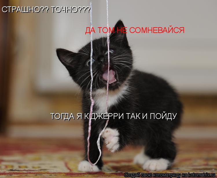 СТРАШНО?? ТОЧНО??? ДА ТОМ НЕ СОМНЕВАЙСЯ ТОГДА Я К ДЖЕРРИ ТАК И ПОЙДУ... Котоматрица: СТРАШНО?? ТОЧНО??? ДА ТОМ НЕ СОМНЕВАЙСЯ ТОГДА Я К ДЖЕРРИ ТАК И ПОЙДУ