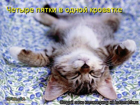 Четыре пятки в одной кроватке... Котоматрица: Четыре пятки в одной кроватке