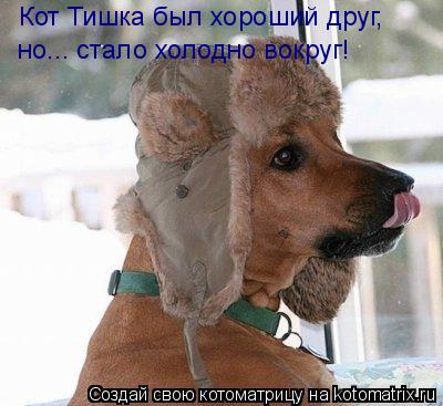 Кот Тишка был хороший друг, но... стало холодно вокруг!... Котоматрица: Кот Тишка был хороший друг, но... стало холодно вокруг!