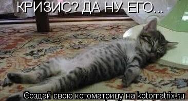 КРИЗИС? ДА НУ ЕГО...... Котоматрица: КРИЗИС? ДА НУ ЕГО...