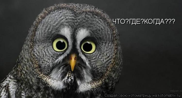 ЧТО?ГДЕ?КОГДА???... Котоматрица: ЧТО?ГДЕ?КОГДА???