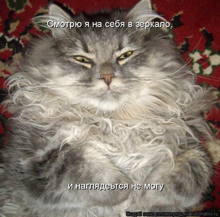 Смотрю я на себя в зеркало, и наглядеьтся не могу... Котоматрица: Смотрю я на себя в зеркало, и наглядеьтся не могу