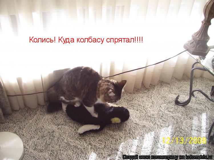 Колись! Куда колбасу спрятал!!!!... Котоматрица: Колись! Куда колбасу спрятал!!!!