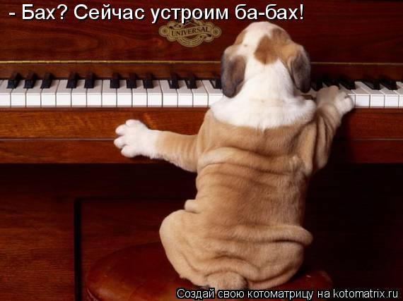 - Бах? Сейчас устроим ба-бах!... Котоматрица: - Бах? Сейчас устроим ба-бах!