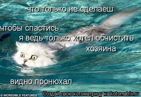 что только не сделаеш чтобы спастись я ведь только хотел обчистить хозяина видно пронюхал... Котоматрица: что только не сделаеш чтобы спастись я ведь только хотел обчистить хозяина видно пронюхал